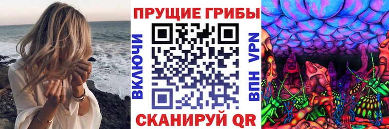 где продают наркотики Ленинск Псилоцибиновые грибы мицелий